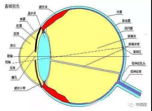 1520387850249498.jpg 微信图片_20180307095519.jpg