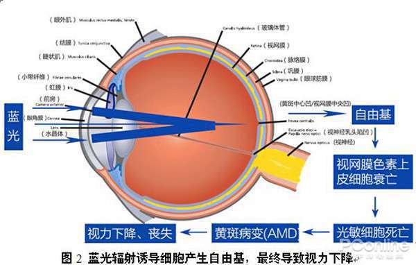 为什么我的眼里常含泪水?原来都是被LED灯给闪的