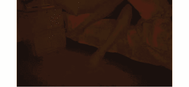 1544683319795958.gif IMG_0689.GIF