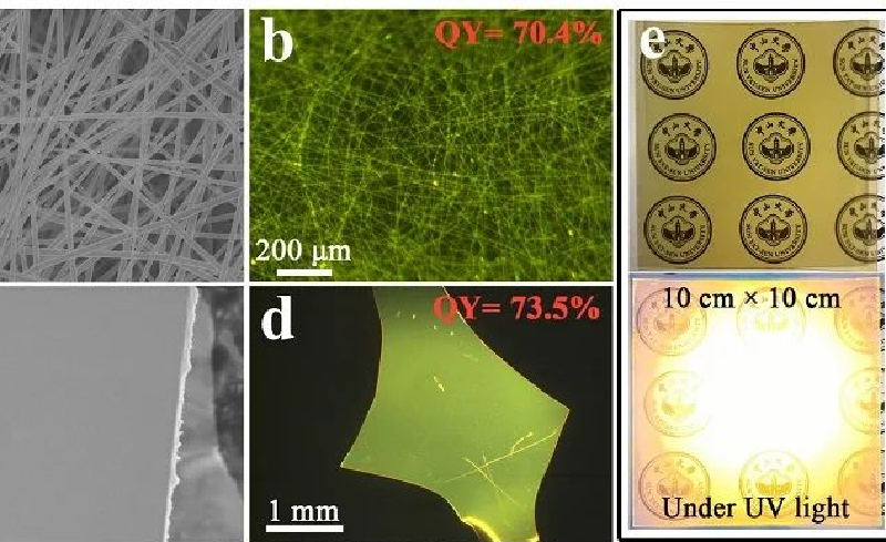 中山大学研究人员研制出用于耐热照明和体内生物成像的高稳性的有机非线性光学膜