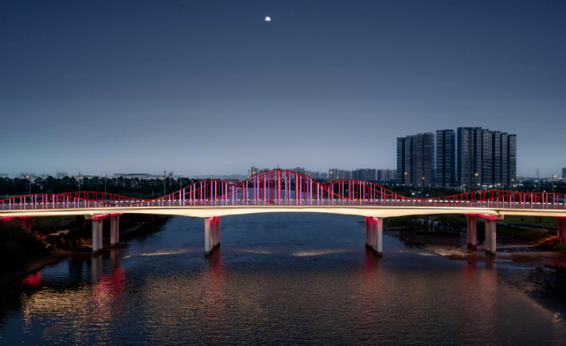 佛山顺德环湖路工程桂畔海大桥照明设计