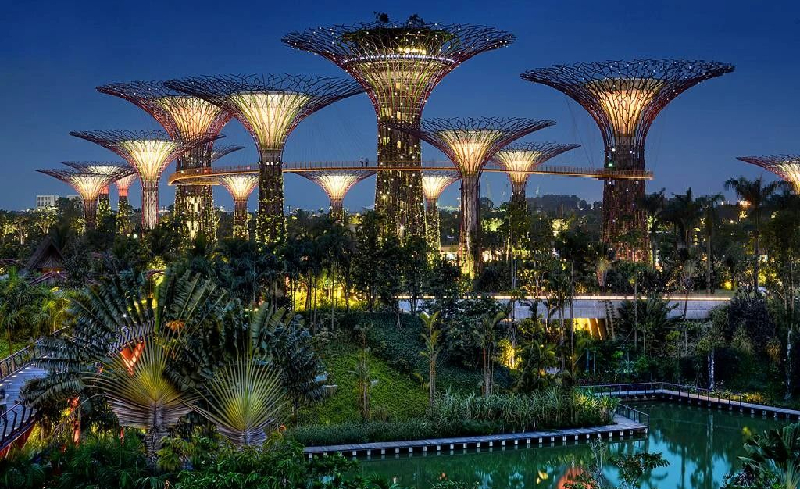  新加坡滨海花园灯光设计
