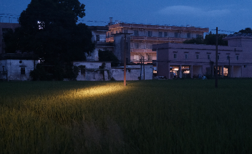 在地创生 萤光计划丨塘口镇夜间景观提升照明设计