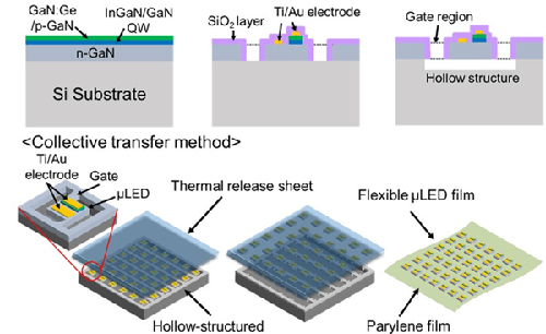 日本高校开发出助力光遗传研究的新型柔性Micro LED阵列薄膜